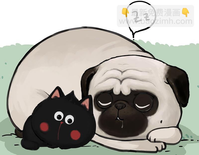 第370话 你就宠它吧2