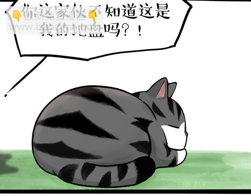 第370话 你就宠它吧20