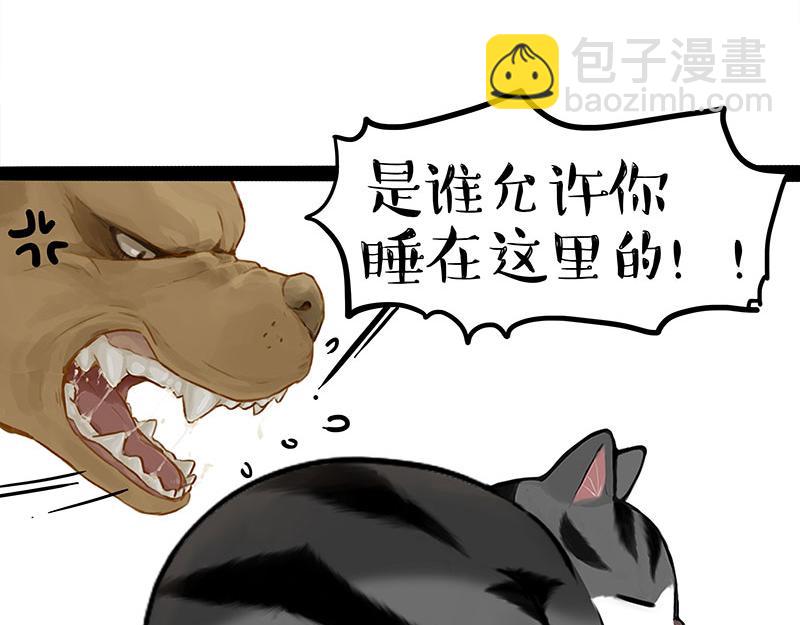 第370话 你就宠它吧21