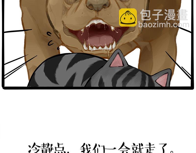第370话 你就宠它吧23