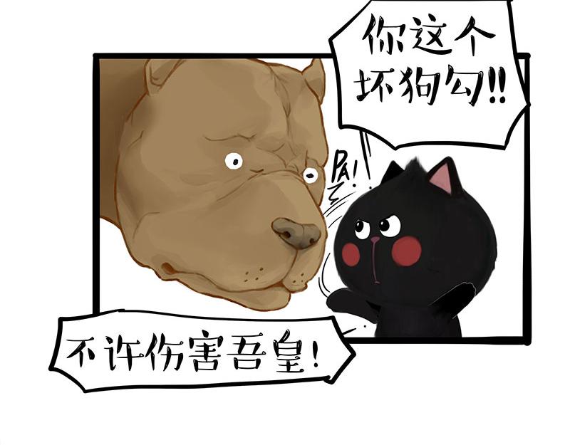 第370话 你就宠它吧32
