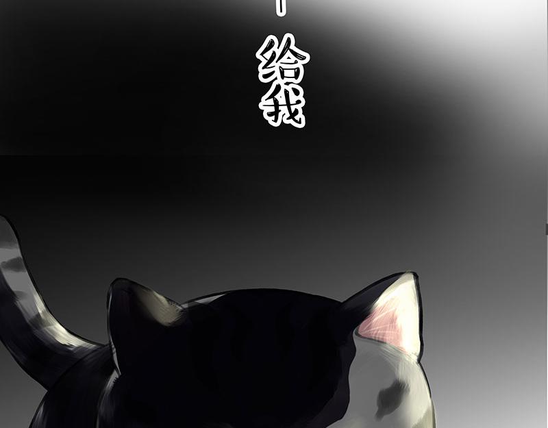 第370话 你就宠它吧39