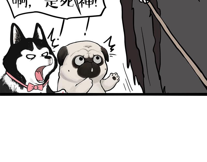 第373话 都是因为爱23