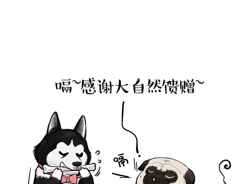 第373话 都是因为爱24