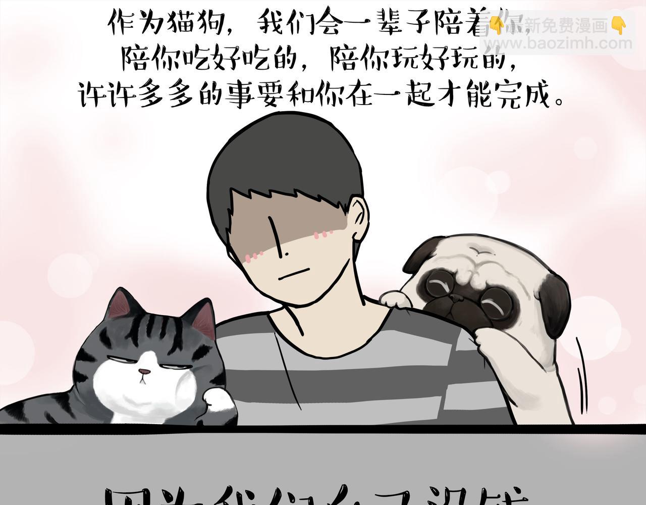 第374话 感情线新爆料2
