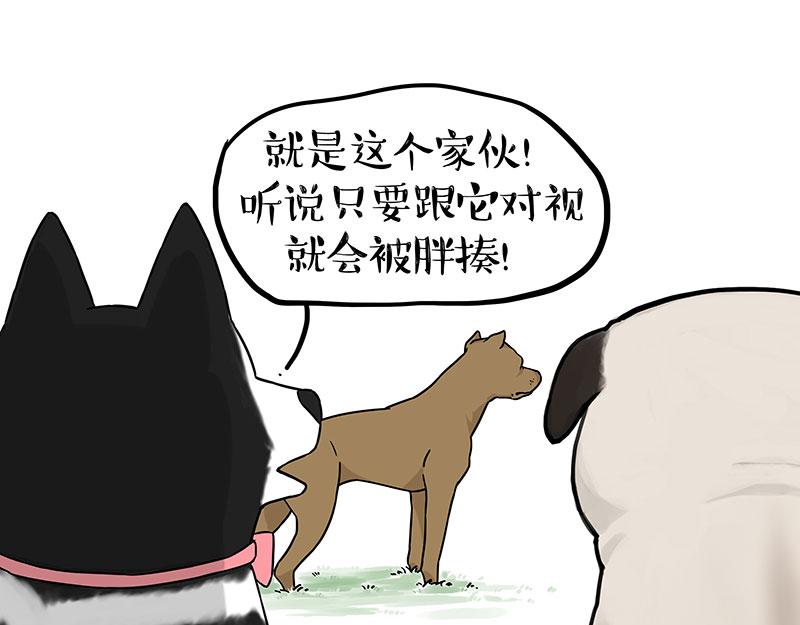 第375话 偶遇恶犬0