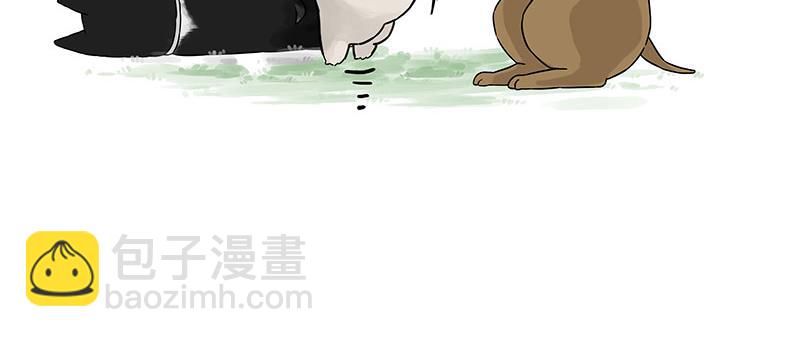 第375话 偶遇恶犬13