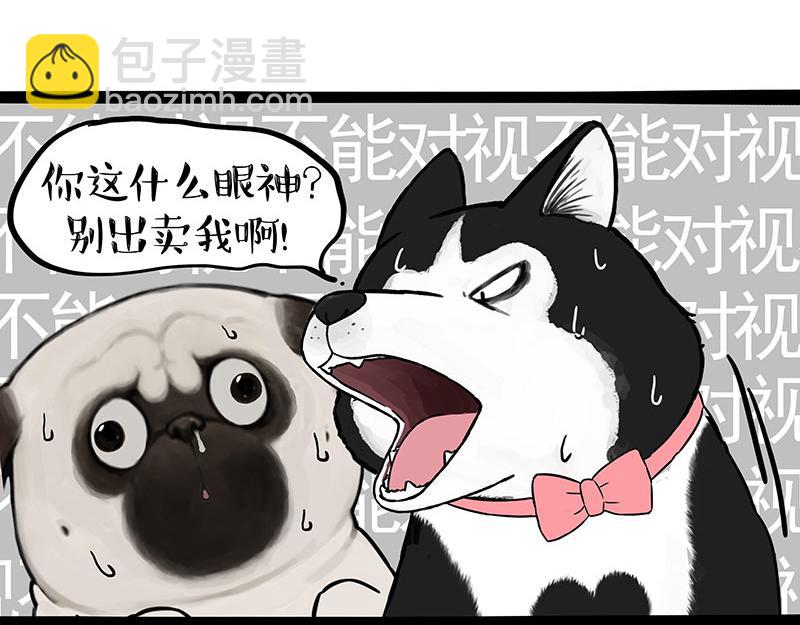 第375话 偶遇恶犬4