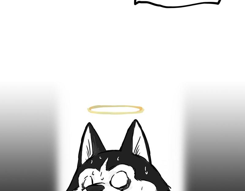第375话 偶遇恶犬9