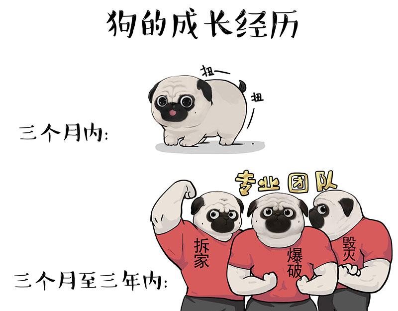 第376话 第一次做人8