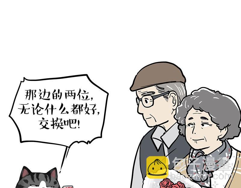 第377话 谢谢小猫咪16
