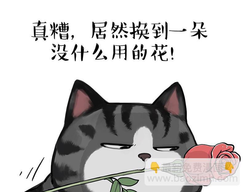 第377话 谢谢小猫咪18