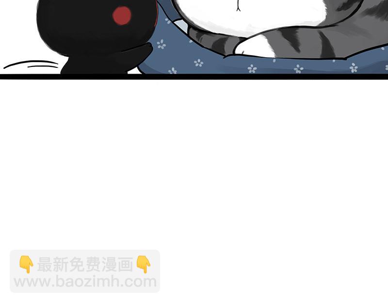 第377话 谢谢小猫咪24