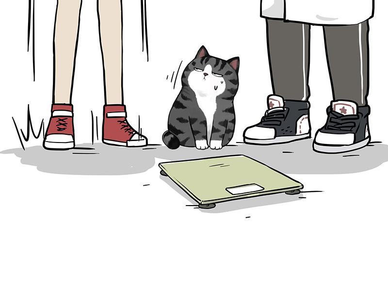 第377话 谢谢小猫咪35