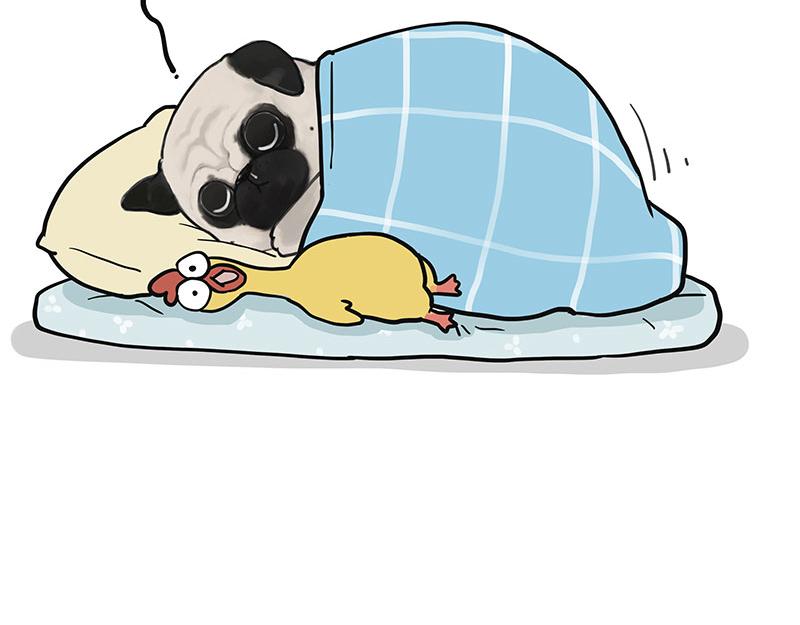 第377话 谢谢小猫咪38