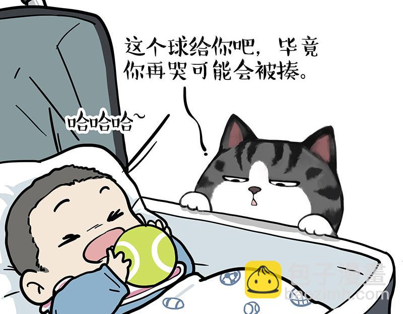 第377话 谢谢小猫咪4