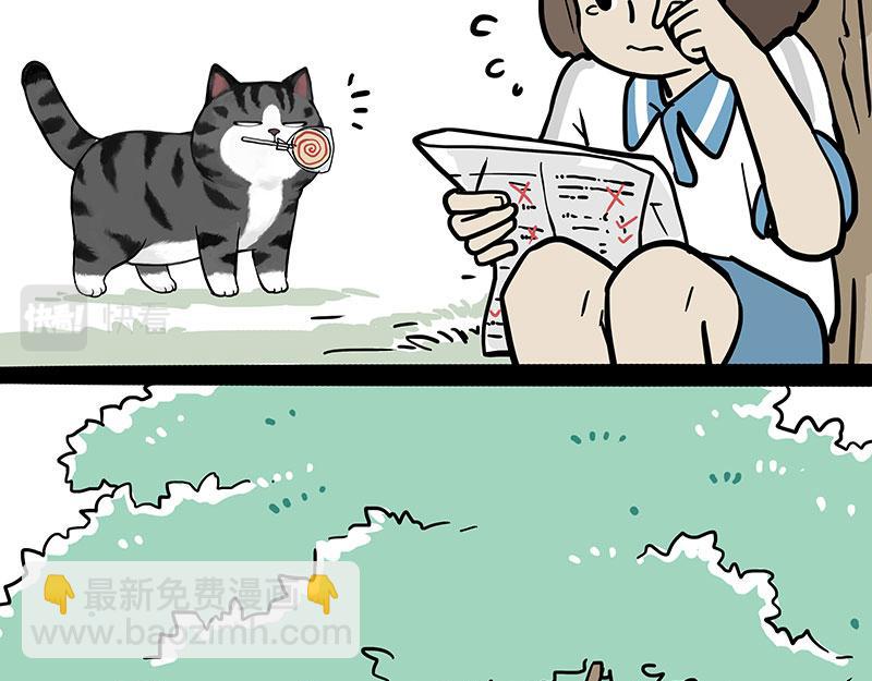 第377话 谢谢小猫咪8
