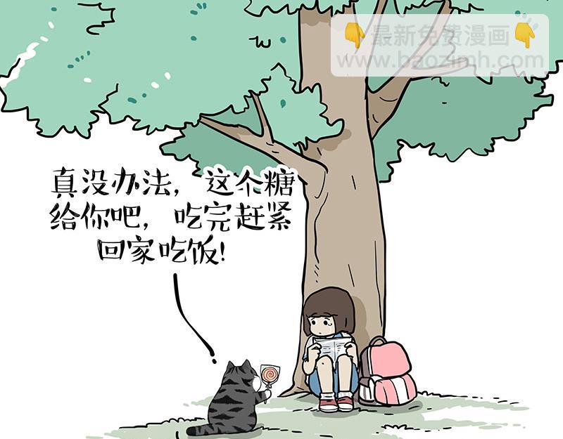 第377话 谢谢小猫咪9