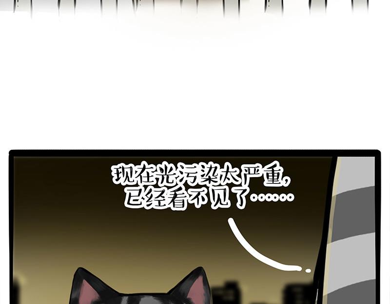 第378话 给你满天星星28