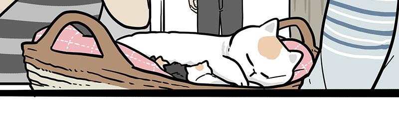 第380话 登峰造极35