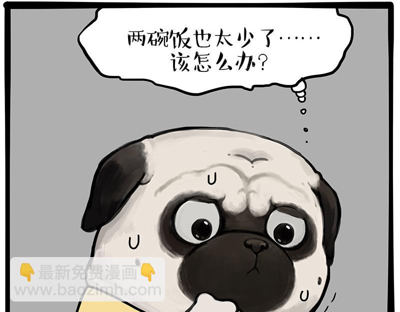 第381话 “生物钟”13