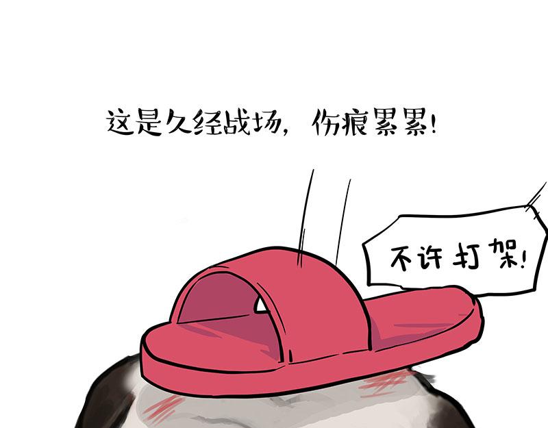 第381话 “生物钟”21