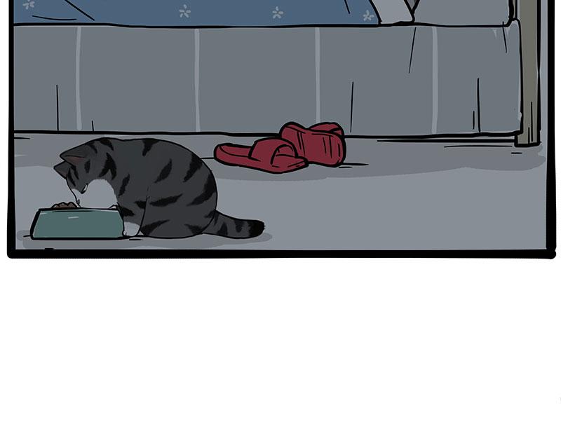第381话 “生物钟”33