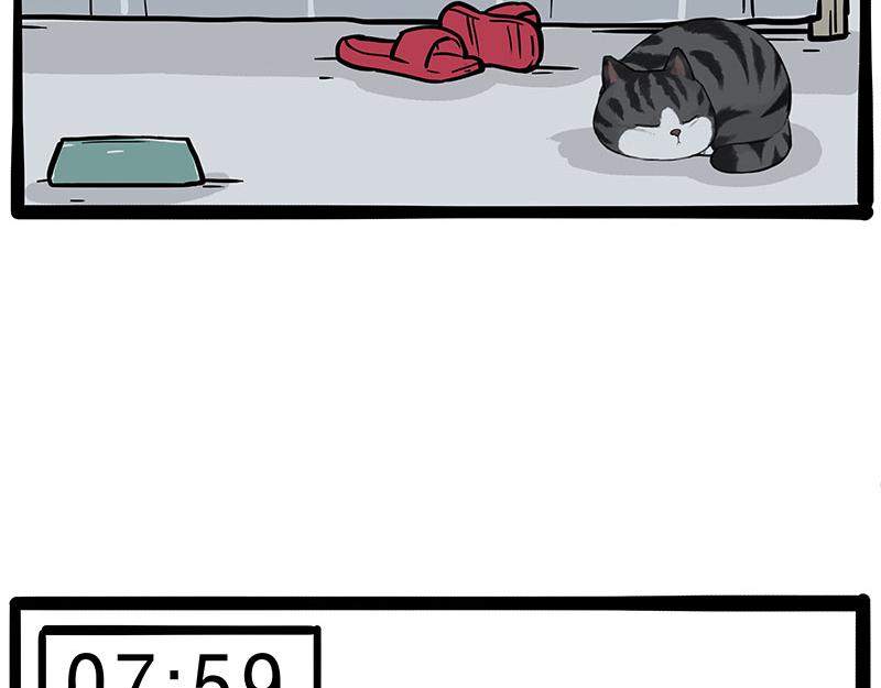 第381话 “生物钟”35