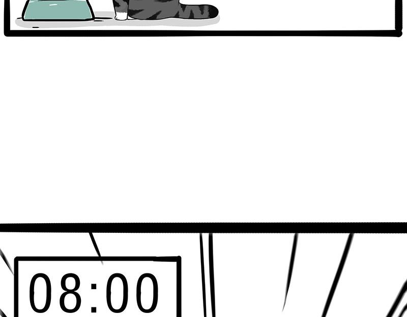 第381话 “生物钟”37