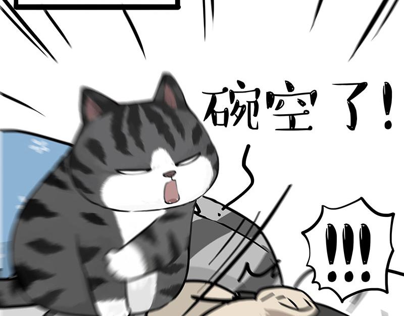 第381话 “生物钟”38