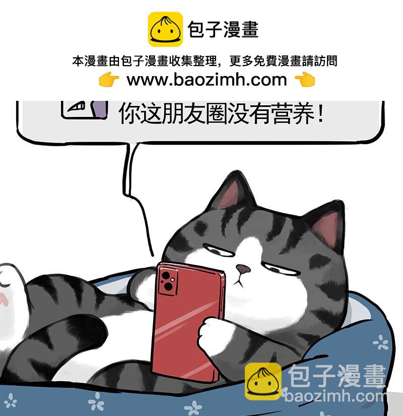 第382话 开心就好1