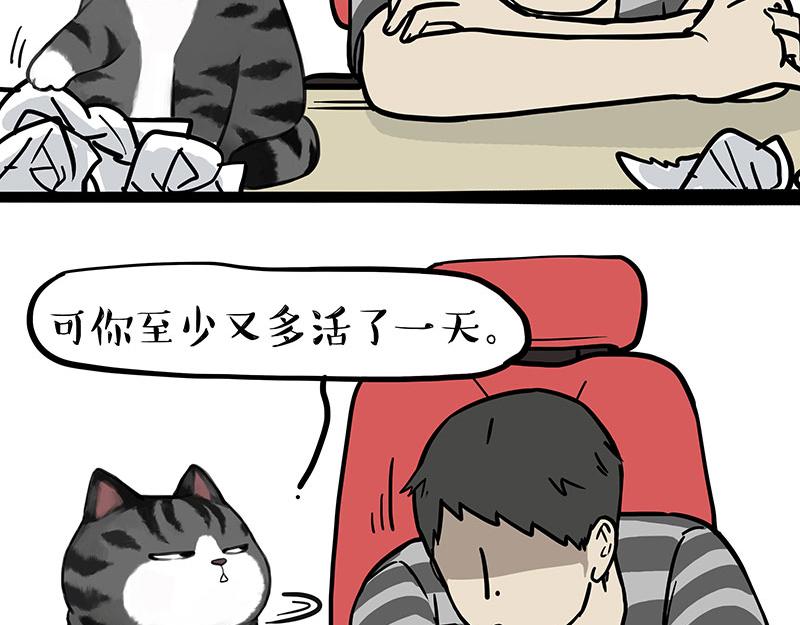第382话 开心就好18