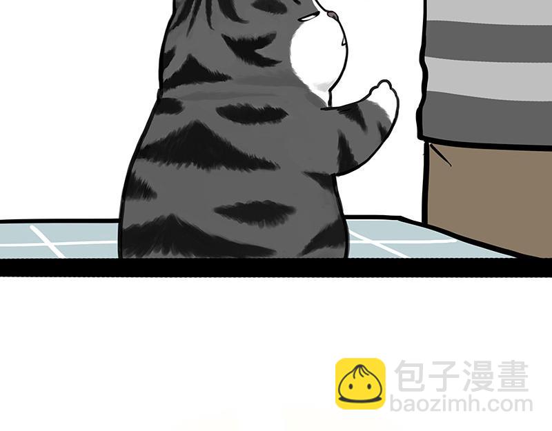 第382话 开心就好39