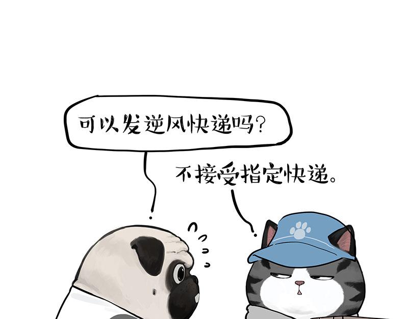 第383话 苦夏28