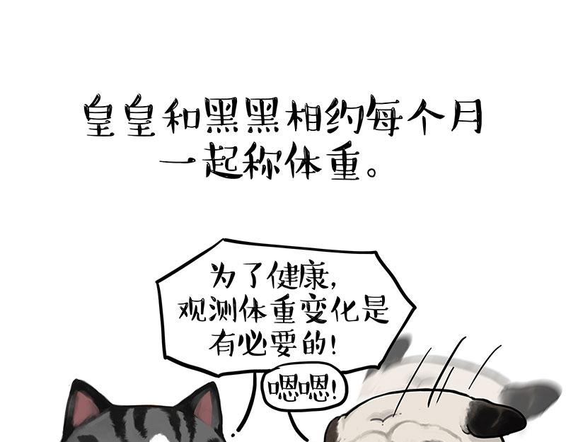 第383话 苦夏34