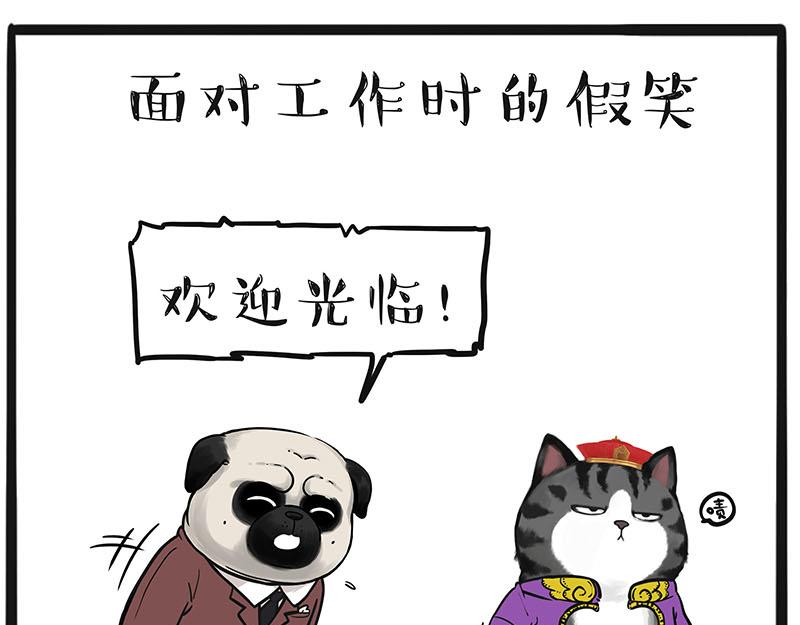 第384话 猫猫代打0