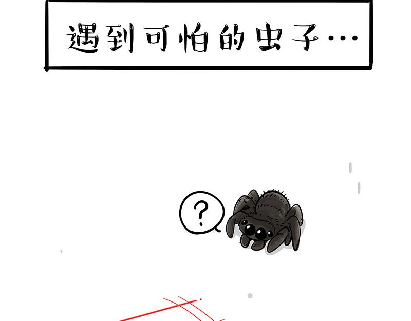 第384话 猫猫代打12