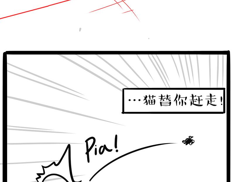 第384话 猫猫代打13