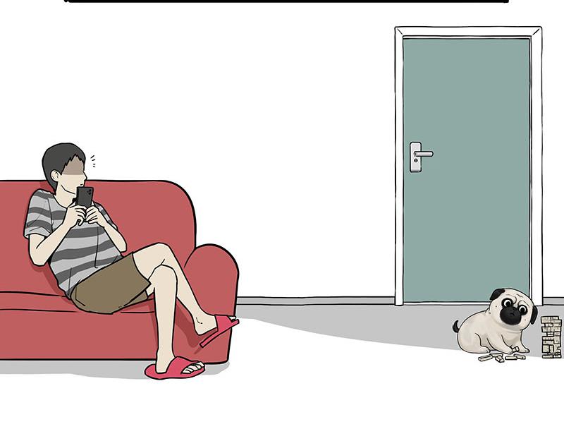 第384话 猫猫代打20