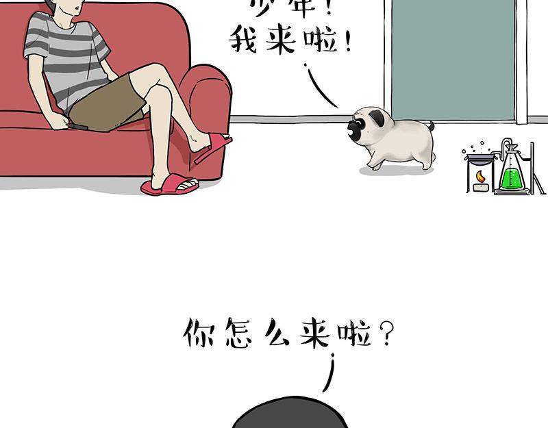 第384话 猫猫代打25