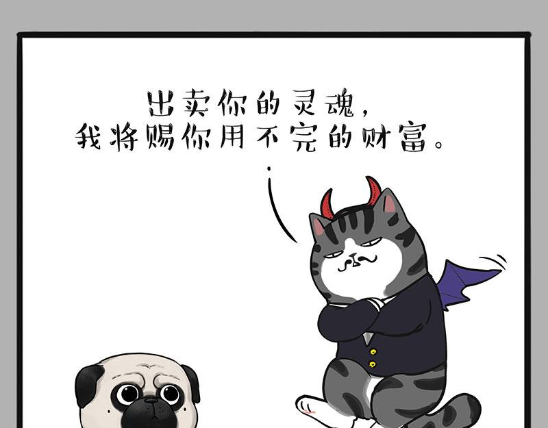 第384话 猫猫代打5