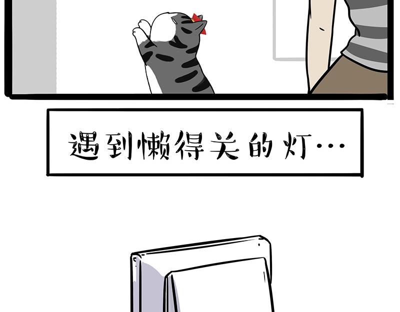 第384话 猫猫代打9