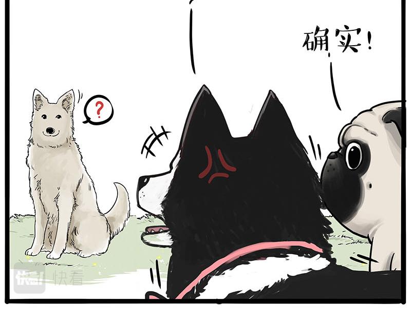 第385话 “懒人杀”10