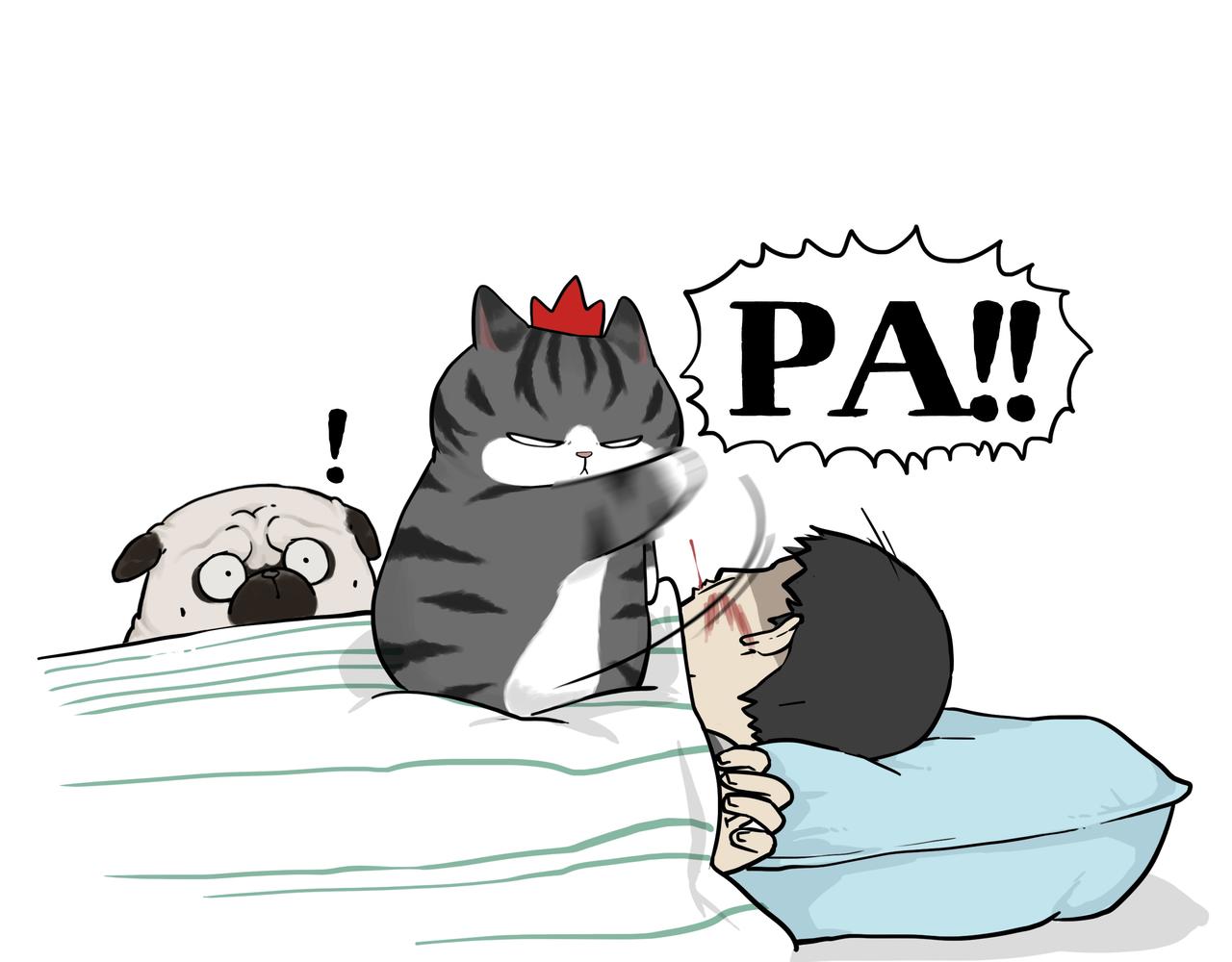 第387话 “凶猛”动物30