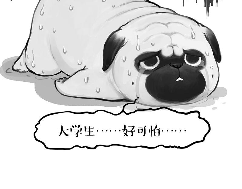 第388话 不走寻常路！22