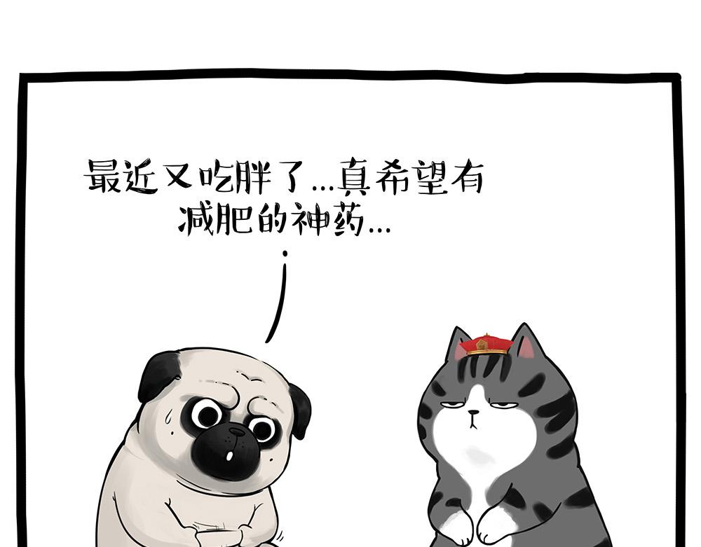 第389话 “确诊”了24