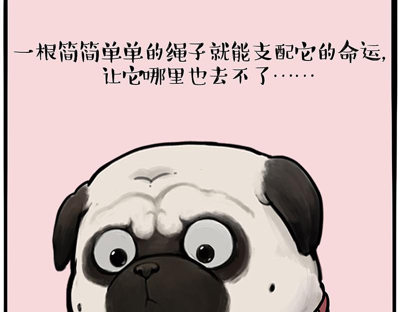 第390话 真没P图22