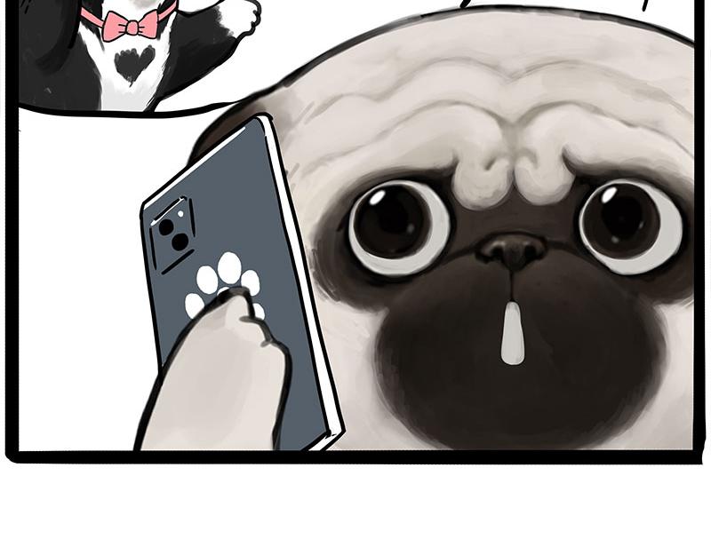 第392话 真相了26
