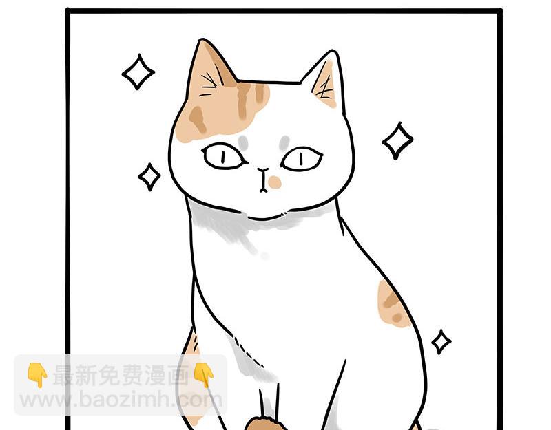 第392话 真相了3