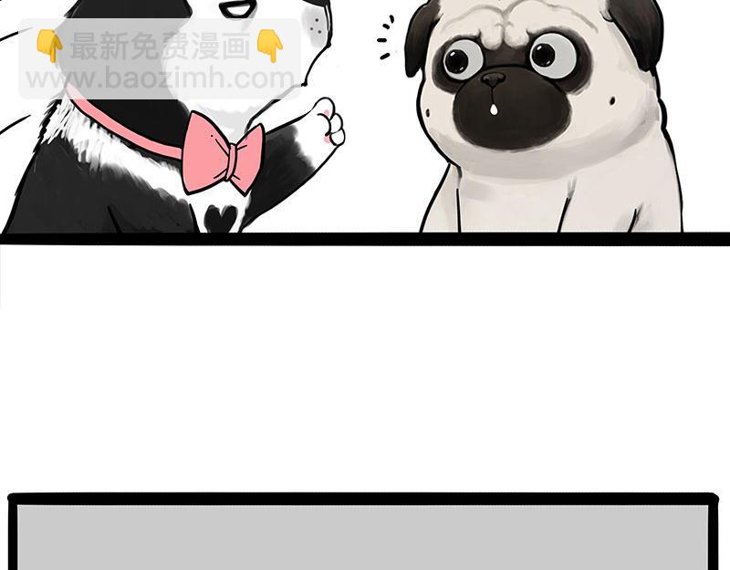 第392话 真相了33